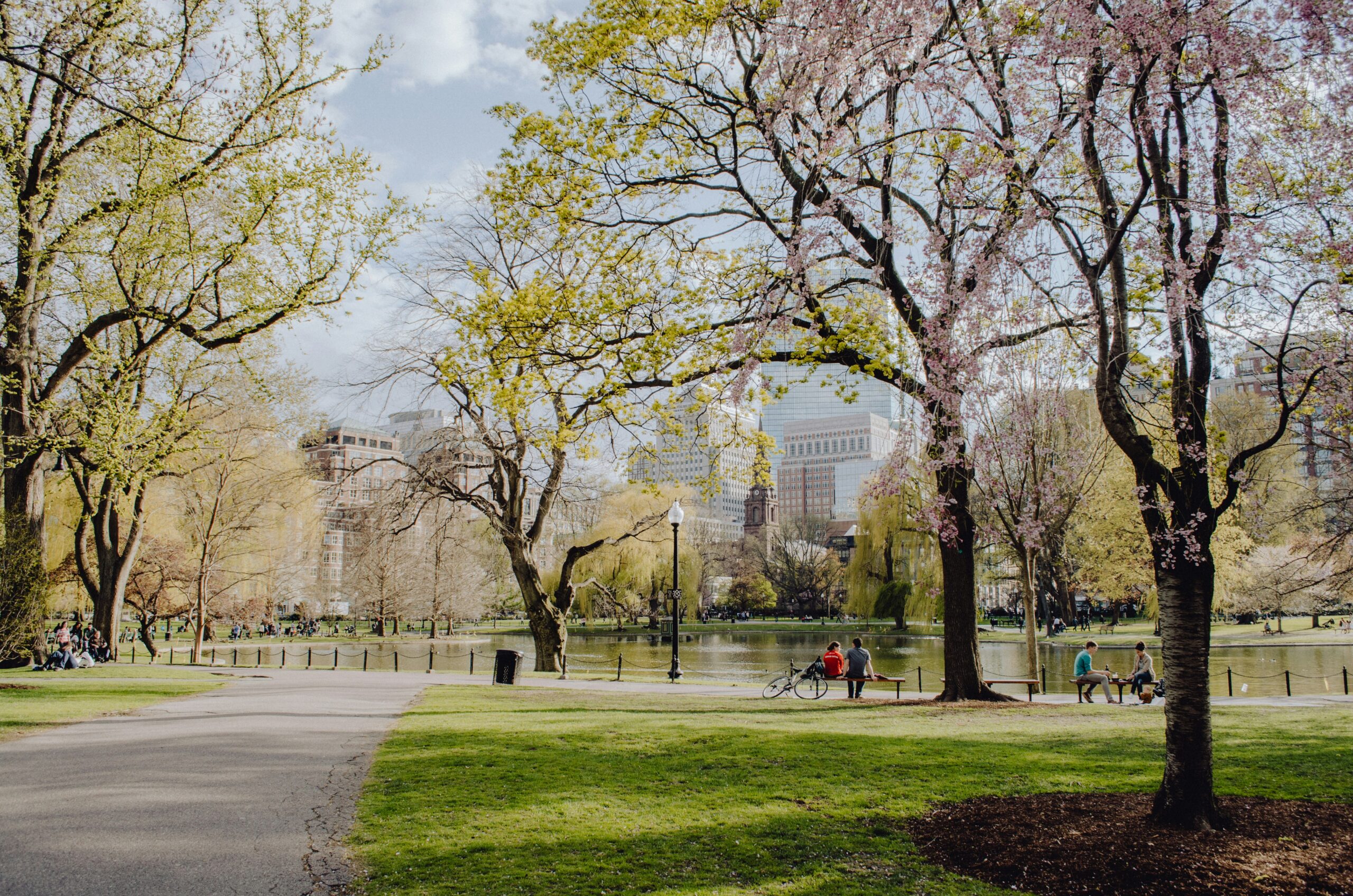 A sunny park scene with blooming trees and a pond, surrounded by tall buildings in the background. People are sitting on benches and walking along a path.